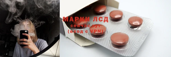 ПСИЛОЦИБИНОВЫЕ ГРИБЫ Алзамай