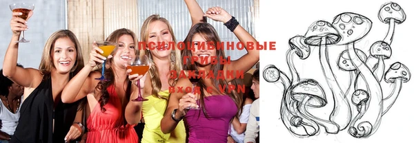 прущий лед Алексеевка
