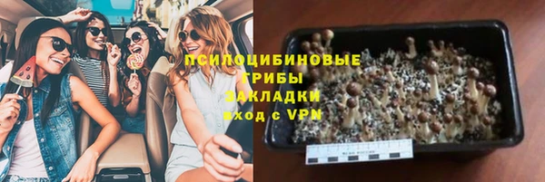 ПСИЛОЦИБИНОВЫЕ ГРИБЫ Алзамай