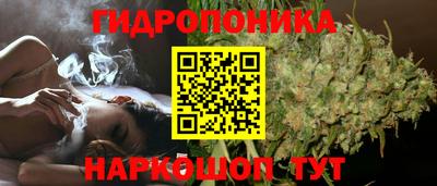 Альфа ПВП Пыть-Ях