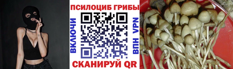 закладка Черемхово Псилоцибиновые грибы ЛСД