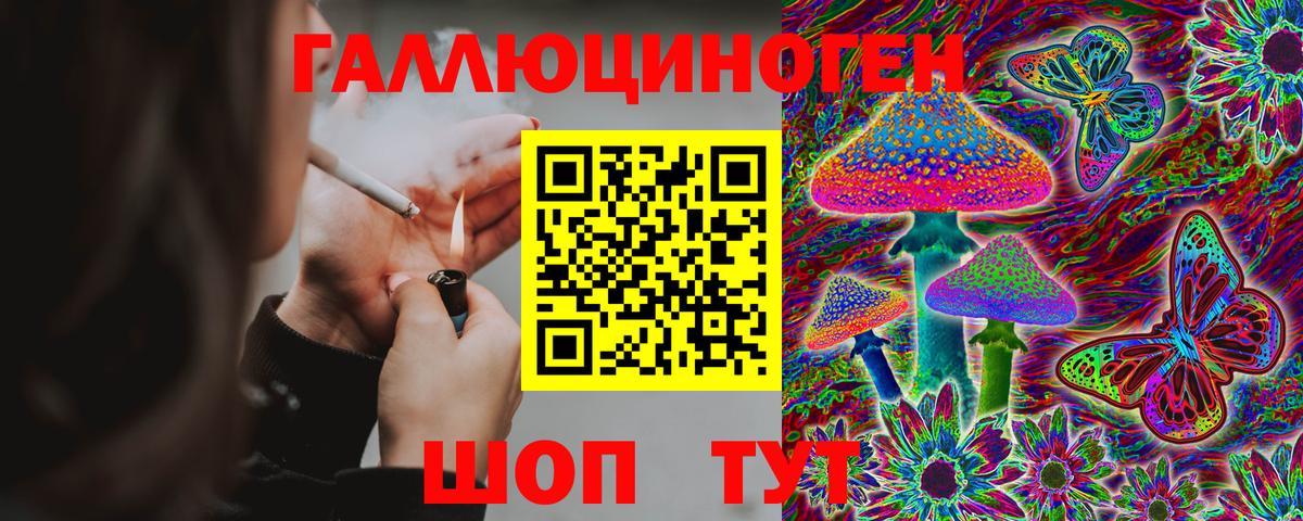 Псилоцибиновые грибы Psilocybine cubensis Черемхово