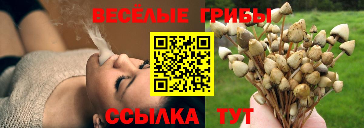 Галлюциногенные грибы Psilocybe  продажа наркотиков  Черемхово  Галлюциногенные грибы MAGIC MUSHROOMS  Вход с VPN 